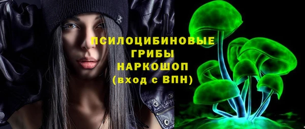 дживик Семилуки