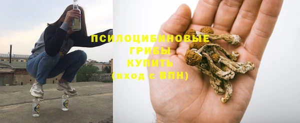 винт Балахна