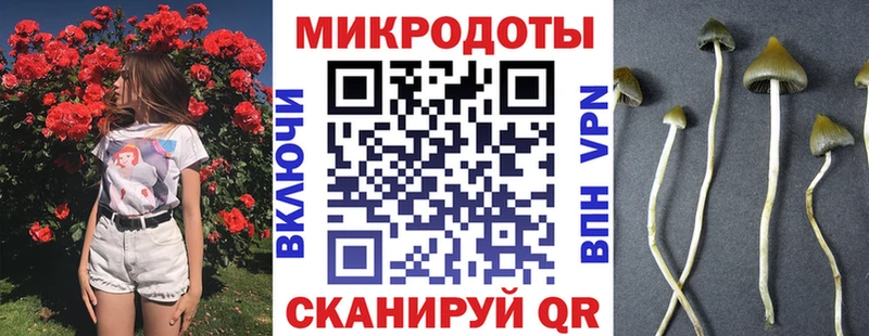 Псилоцибиновые грибы Cubensis  Белинский 